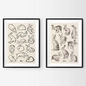 Kunstdruck &quot;Schlafende Kaninchen / Hasen&quot; | DIN A4