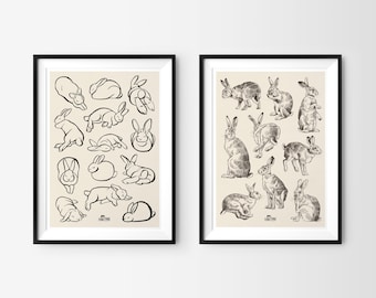 May include: Two black framed prints of line drawings of rabbits in various poses. The print on the left shows a white rabbit in different positions. The print on the right shows a brown rabbit in different positions.