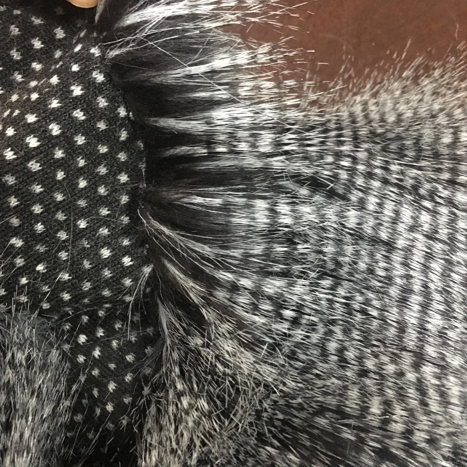 High Quality Faux Fur Fabric Peacock Styles Jacquard Printed Etsy