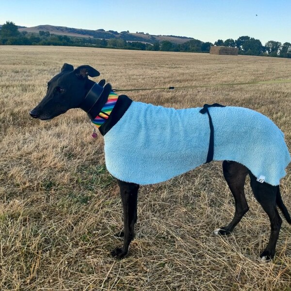 Greyhound Coats Etsy UK