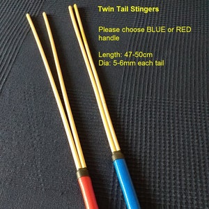 Spanking Cane Twin Tail Stinger