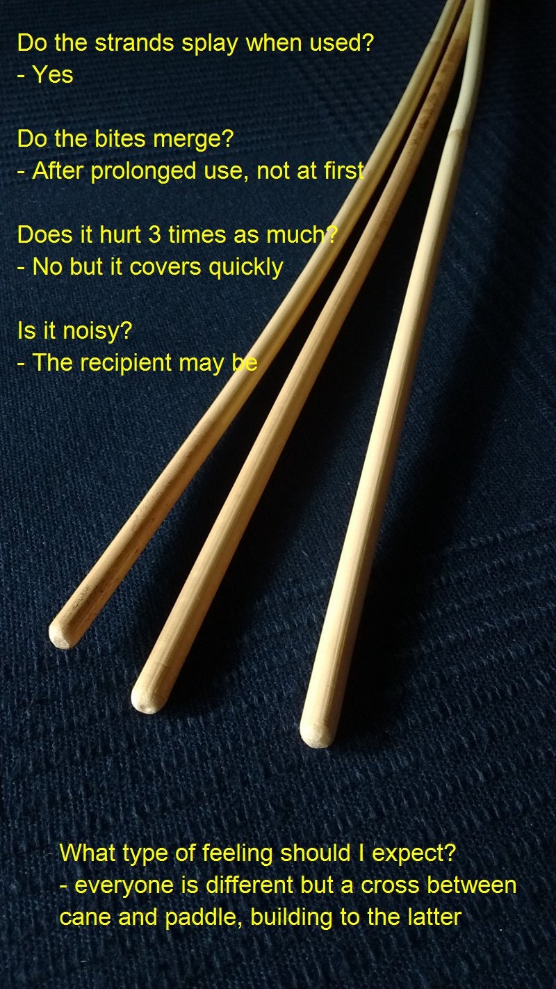 Spanking Cane Triple Stinger Etsy