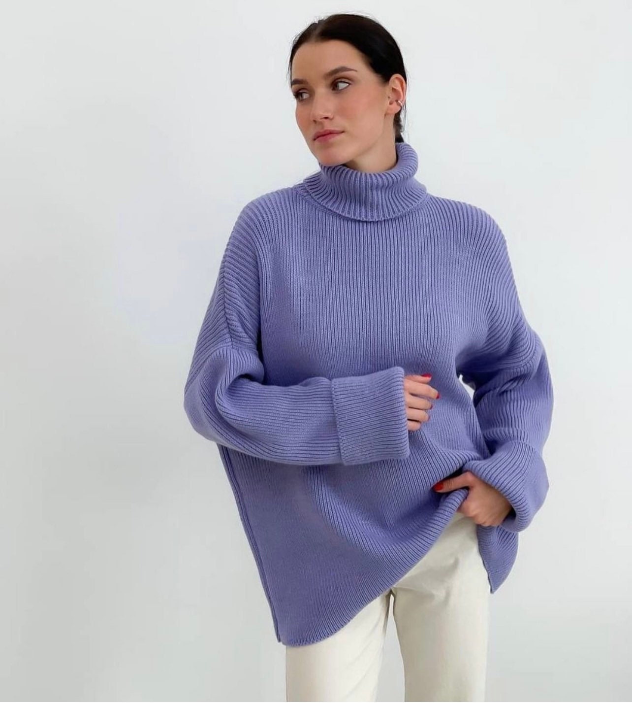 Polo neck jumper sale discount