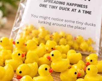 Tiny Duck Game: Team Building Stocking Filler (30 Ducks & 4 Signs)