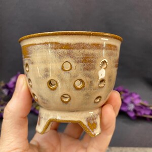 Small Ginger Neofinetia Fuuran Handmade Orchid Planter