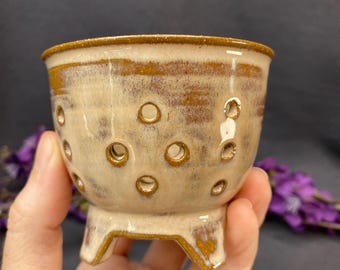 Petit pot d'orchidées artisanal Neofinetia Fuuran en gingembre