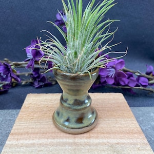 Blue Brown Handmade Tabletop Air Plant Holder