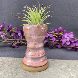 May include: A small, handcrafted ceramic air plant holder with a textured, multi-toned finish in shades of pink, purple, and brown. The holder contains a green air plant. The base is a round, unglazed brown. Purple flowers are in the background.