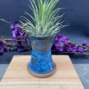 Blue Handmade Tabletop Air Plant Holder