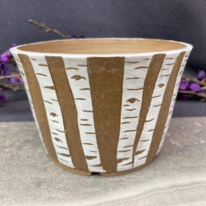 Birch Trees Medium Decorative Handmade Planter
