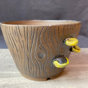 Tree Trunk with Yellow Mushrooms Handmade Planter