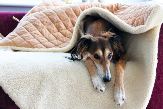 snuggle sack pet bed