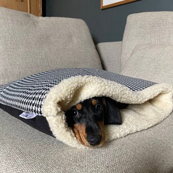 dog bed with blanket attached