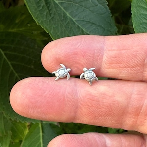 Pendientes de tortuga, pequeños pendientes de plata de ley, tortuga marina, pendientes náuticos