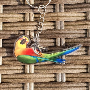 Jenday conure Mango | 2&quot; Acrylic Clear Charm double sided