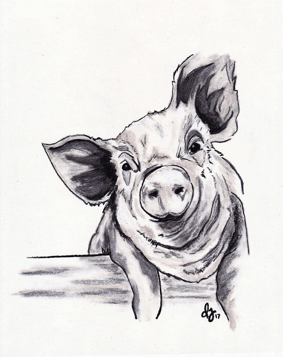 Simple Pig Sketch Drawing for Adult