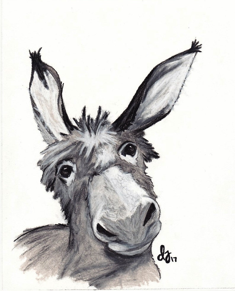 Charcoal Drawing DONKEY Etsy