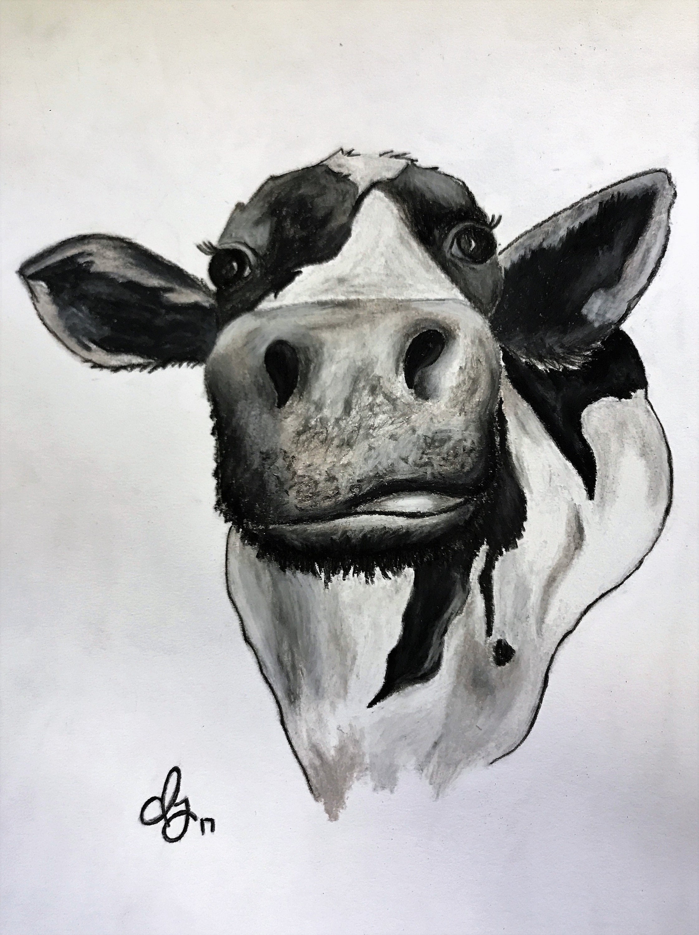 Charcoal Drawing Download, Cow Printable Art, Cow Digital Wall Art,  Farmhouse Print, Farmhouse Wall Art, Printable Wall Art,Digital Download