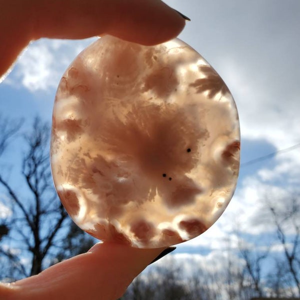 New RARE find. Flower Agate. Medium Madagascar Flower Agate palm stone. Perfectly formed flowers. 7