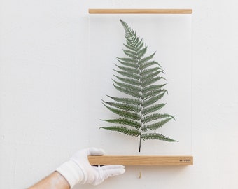 Floating frame -Transparent frame- Herbarium - Botanical art - Decor - Paper cut collage - Minimalistic design - minimalism- Scandinavian-A3