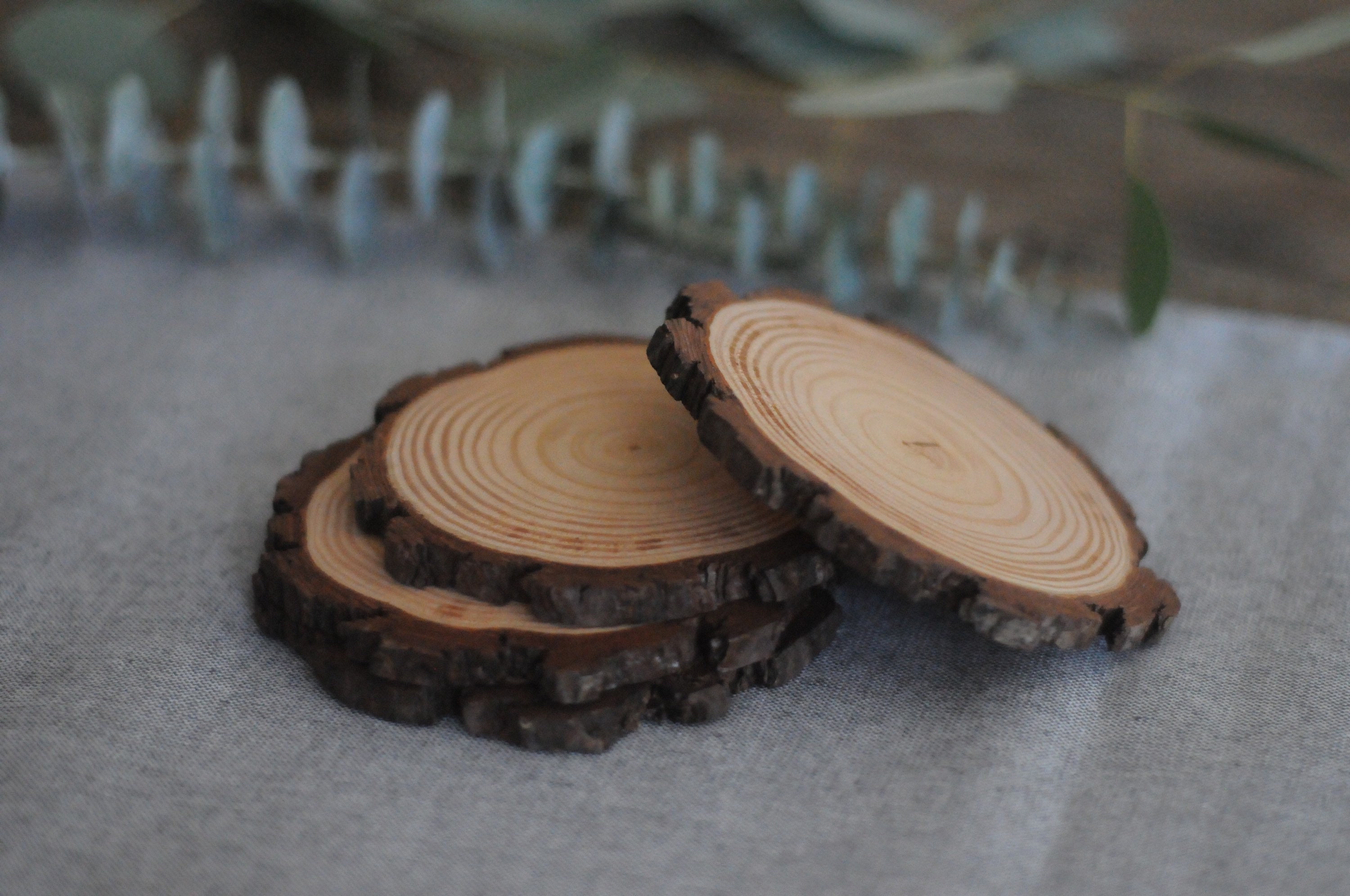 Pine Live Edge Coaster Set 4 Etsy