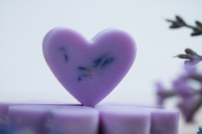 English lavender and Dead Sea salt Wax melts image 4