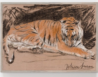 Antique Tiger Art Print, John Macallan Swan Wildlife Illustration, Vintage Animal Reproduction