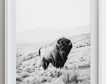 Black and White Bison Print: Southwestern Boho Wall Art