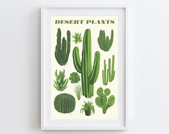 Cactus and Succulent Print: Botanical Desert Plants Gallery Wall Art