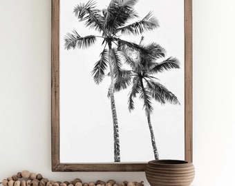 May include: A black and white photograph of two palm trees framed in a brown wooden frame. The photograph is hanging on a white wall above a white shelf with a brown woven bowl and a strand of wooden beads.