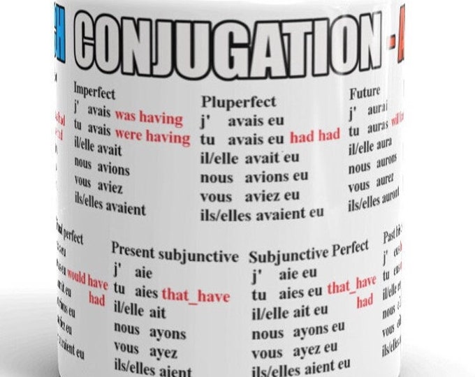 French Avoir conjugation mug
