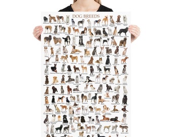 Puede incluir: Un póster con una tabla de diferentes razas de perros. El póster es blanco con texto negro e imágenes de perros. El texto incluye los nombres de cada raza. El póster se titula "Dog Breeds".