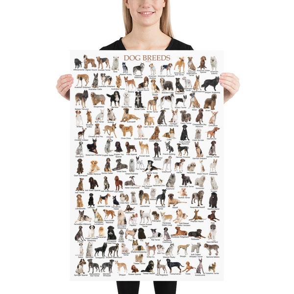 Types of Dog Breeds Veterinarian Veterinary Dog Lovers Poster