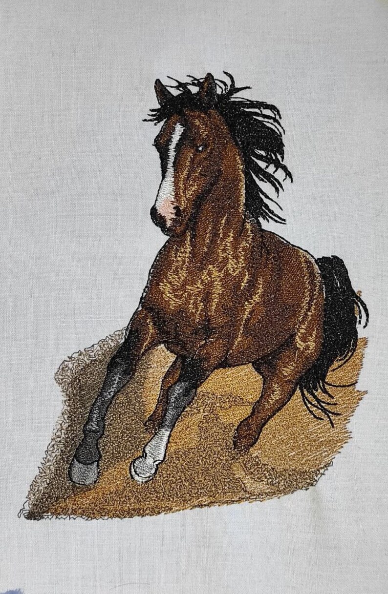 Horse Embroidery Design Embroidery Designs Ranch Etsy