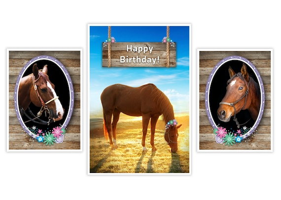 Affiches De Cheval De Joyeux Anniversaire Ensemble De 3 Etsy