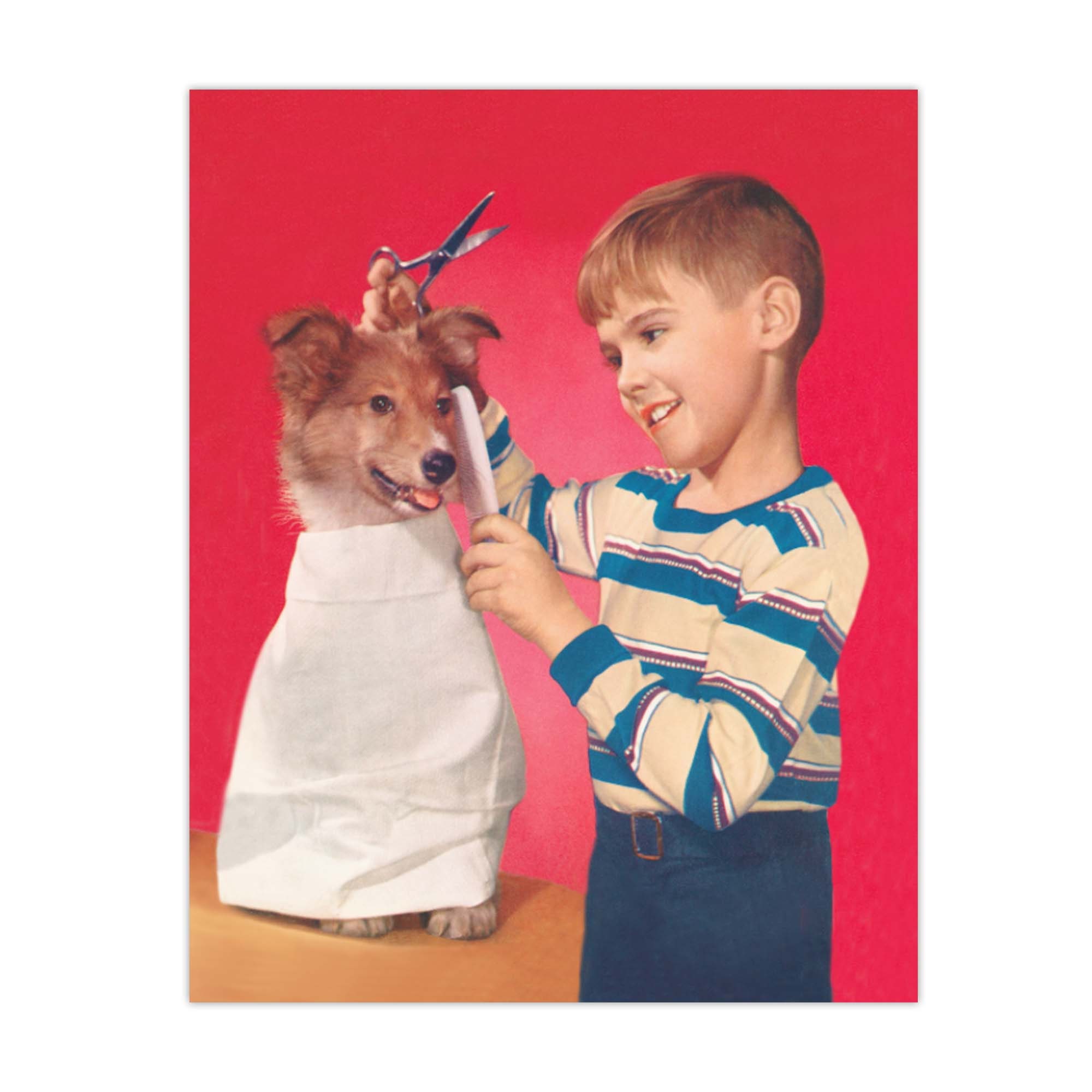 Dog Getting Haircut, Boy With Dog, Barber Shop Decor, Dog Grooming Art