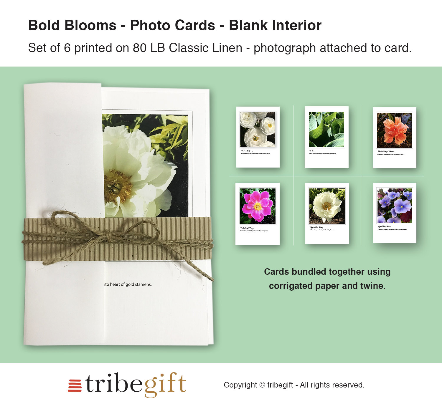 Bold Blooms Photo Note Cards, Set of 6, PRINTED PRODUCT, Blank Cards ...