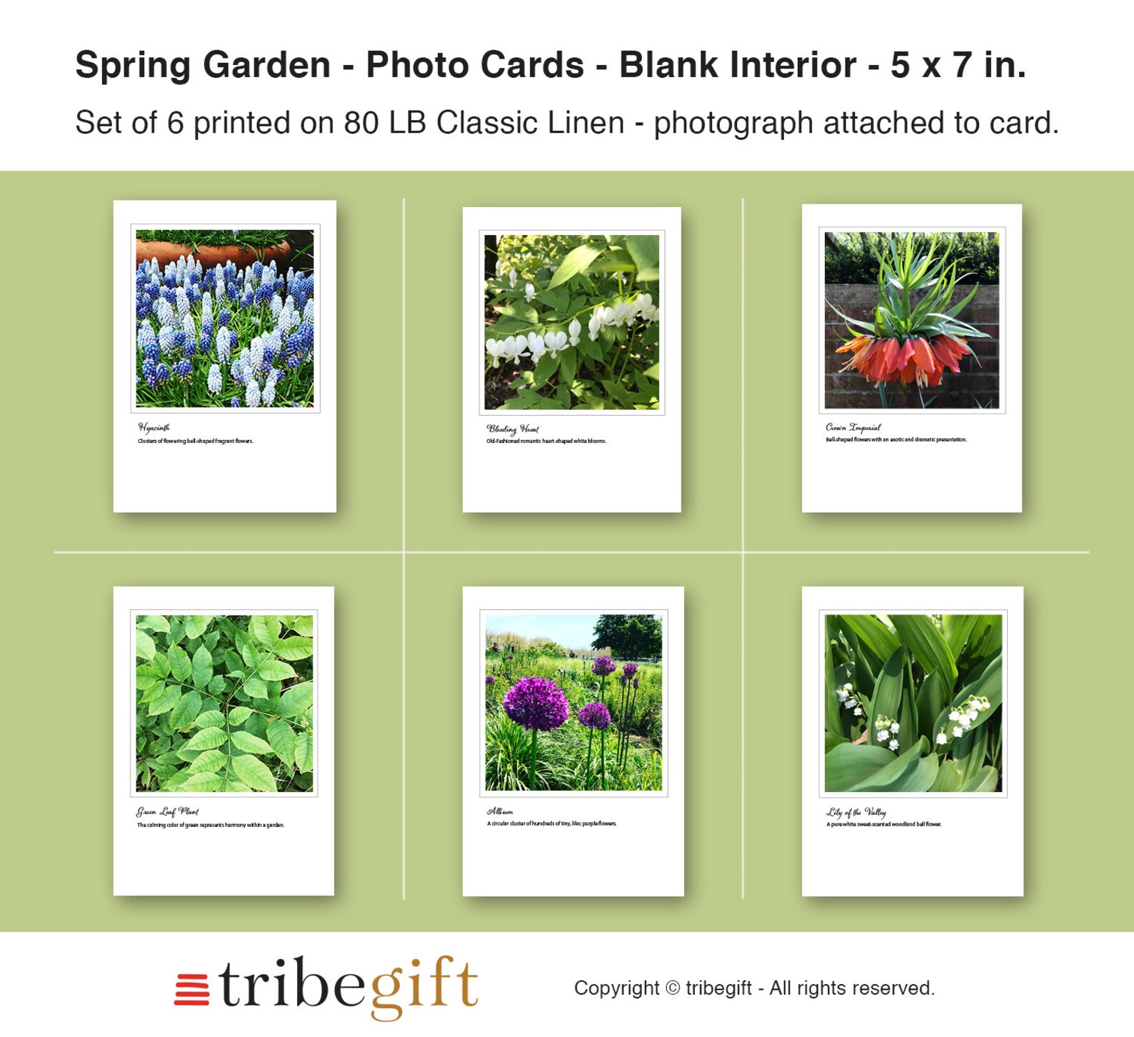 Spring Garden Photo Note Cards, Set of 6, PRINTED PRODUCT, Gardening ...