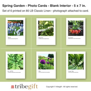 Cartões de nota com foto de jardim de primavera, conjunto de 6, PRODUTO IMPRESSO, presente de jardinagem, presente de jardinagem de flores, conjunto de cartões comemorativos, cartões fotográficos,