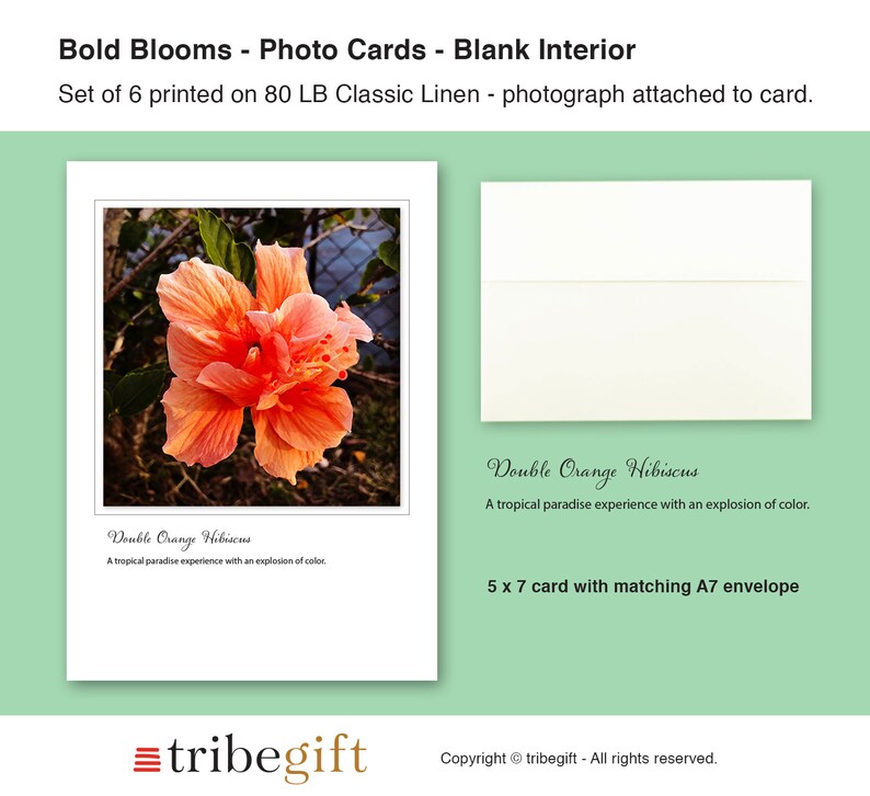Bold Blooms Photo Note Cards, Set of 6, PRINTED PRODUCT, Blank Cards ...