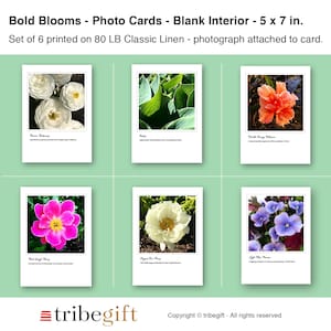 Bold Blooms Foto Notizkarten, 6er Set, GEDRUCKTES PRODUKT, Blankokarten, Alle Gelegenheitskarten, Grußkarten Set, Foto Grußkarten, Blumen