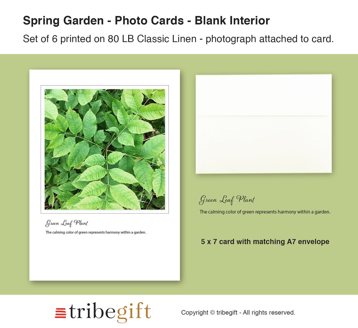 Spring Garden Photo Note Cards, Set of 6, PRINTED PRODUCT, Gardening ...