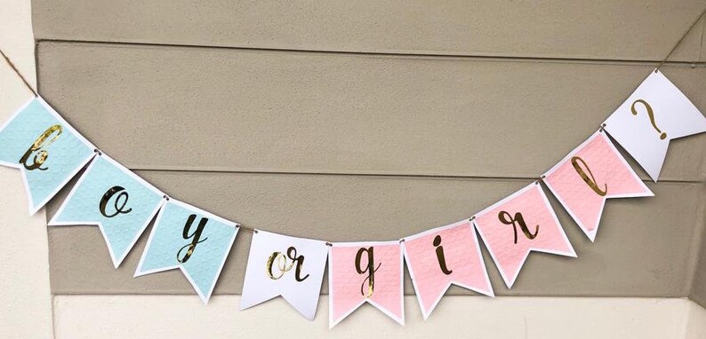 Boy or Girl Gender Reveal Party, Gender Reveal Banner, Pink or Blue, He or She Banner, Gender Reveal, Gender Reveal Ideas, Gender Banner image 2