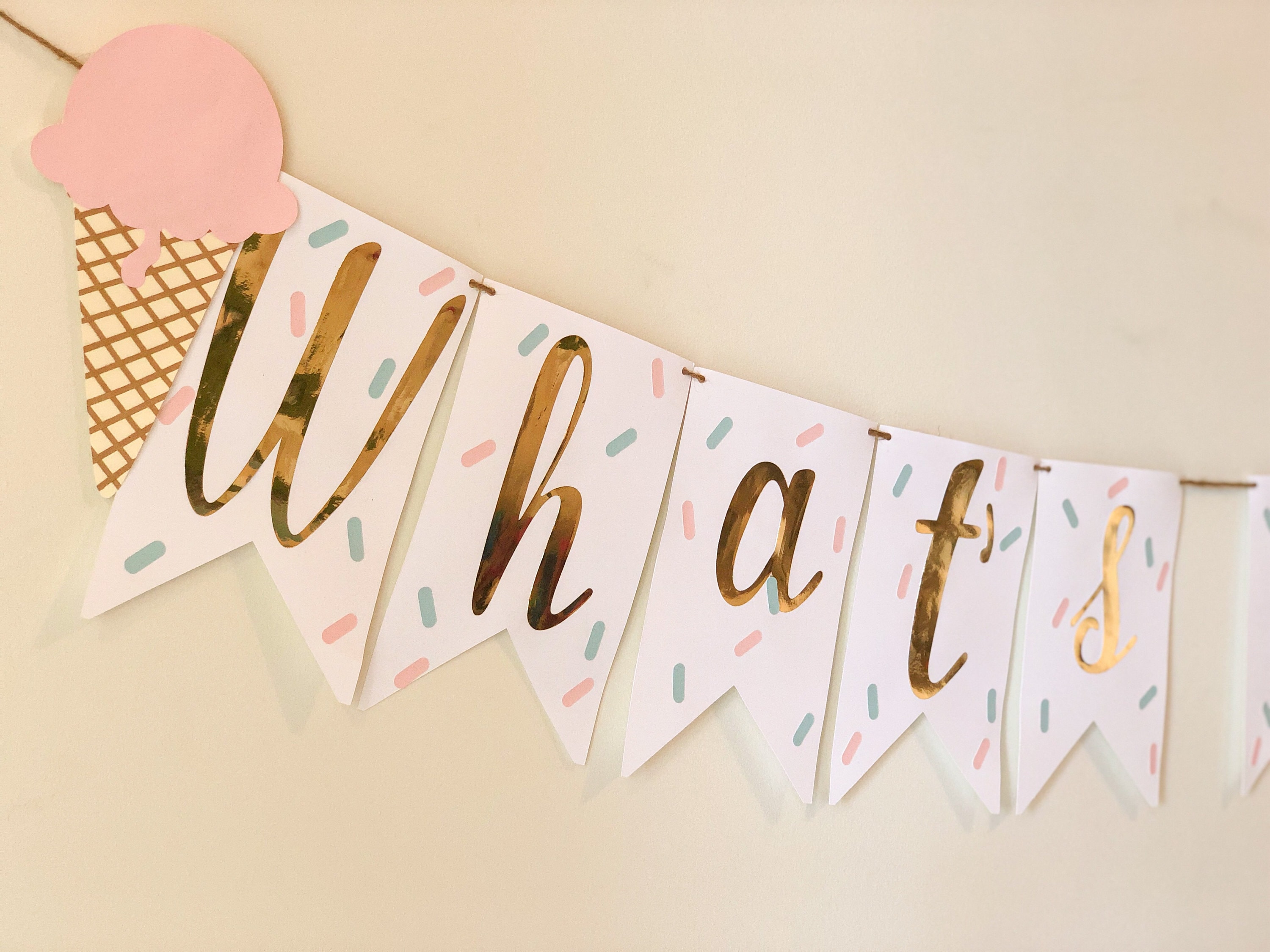 Whats the Scoop Banner Gender Reveal Garland Ice cream banner Ice cream Party decorations Scoop Gender Reveal Boy or Girl