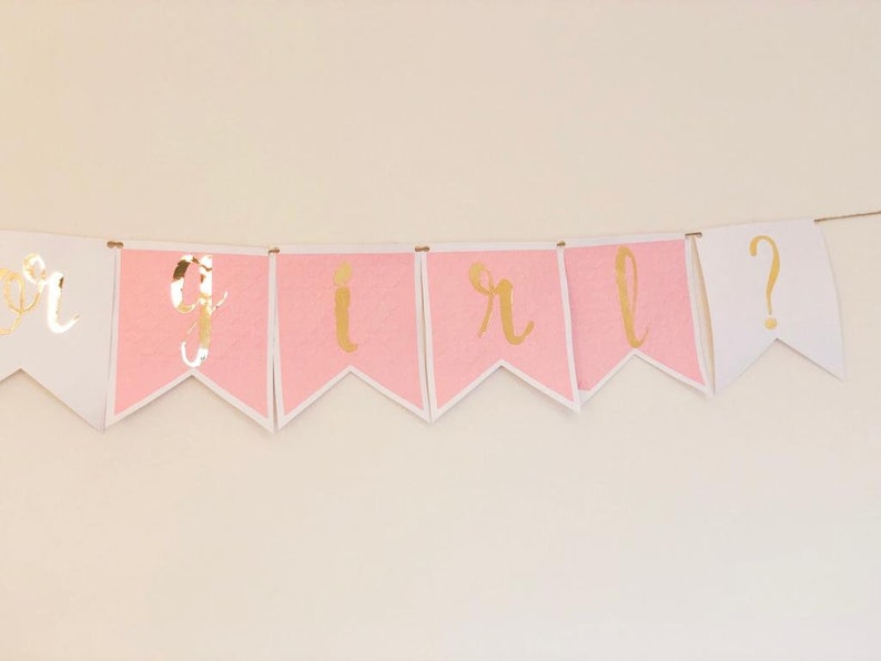 Boy or Girl Gender Reveal Party, Gender Reveal Banner, Pink or Blue, He or She Banner, Gender Reveal, Gender Reveal Ideas, Gender Banner image 7