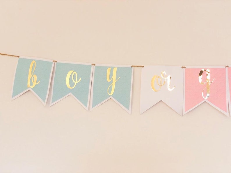 Boy or Girl Gender Reveal Party, Gender Reveal Banner, Pink or Blue, He or She Banner, Gender Reveal, Gender Reveal Ideas, Gender Banner image 5