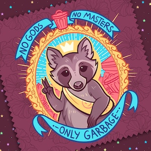 Dumpster Deity Microfiber Cloth