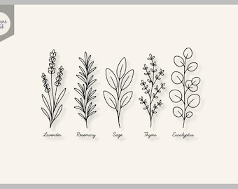 Puede incluir: Una ilustración gráfica que presenta cinco tallos botánicos en arte lineal negro etiquetados como Lavender, Rosemary, Sage, Thyme y Eucalyptus. El texto Designs Nook aparece en una insignia gris en la esquina superior izquierda sobre un fondo crema claro.