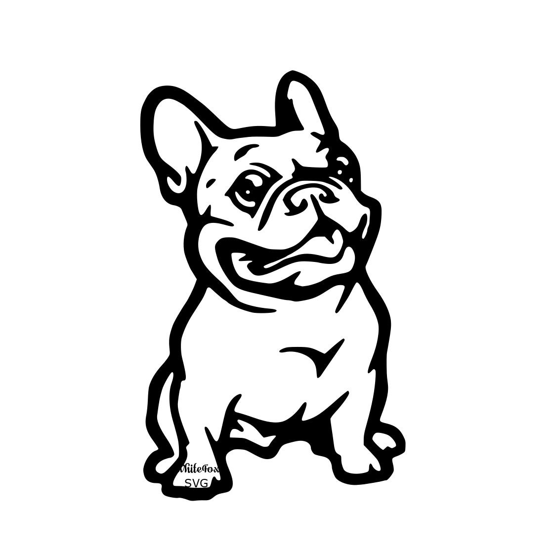 express pug template examples