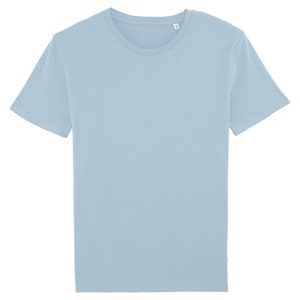 May include: A light blue short-sleeved t-shirt.